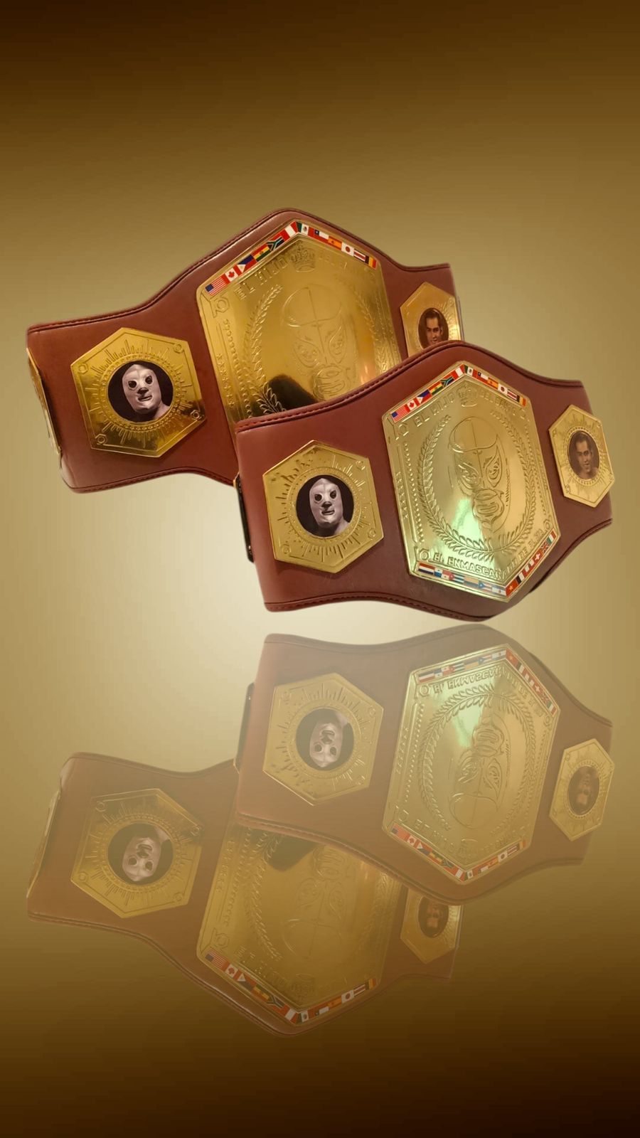 Cinturón Campeón HDS