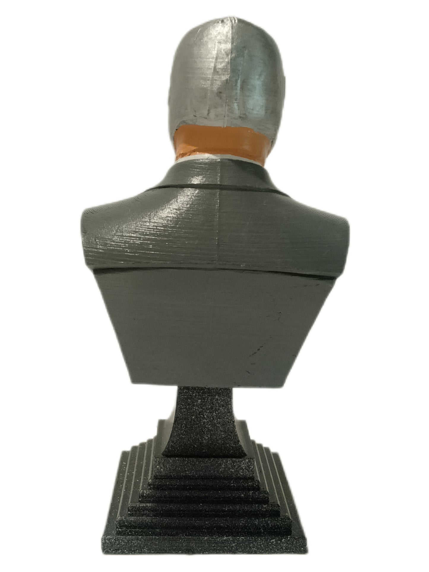 Busto HDS